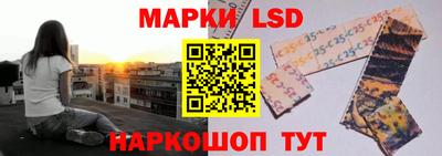 a pvp Свободный