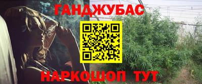 a pvp Свободный